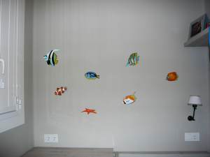 Peixos de colors | Peces de colores | Colourful fish